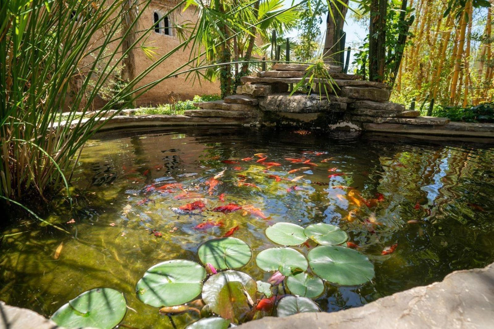Hotel Molino Garden شفشاون المظهر الخارجي الصورة