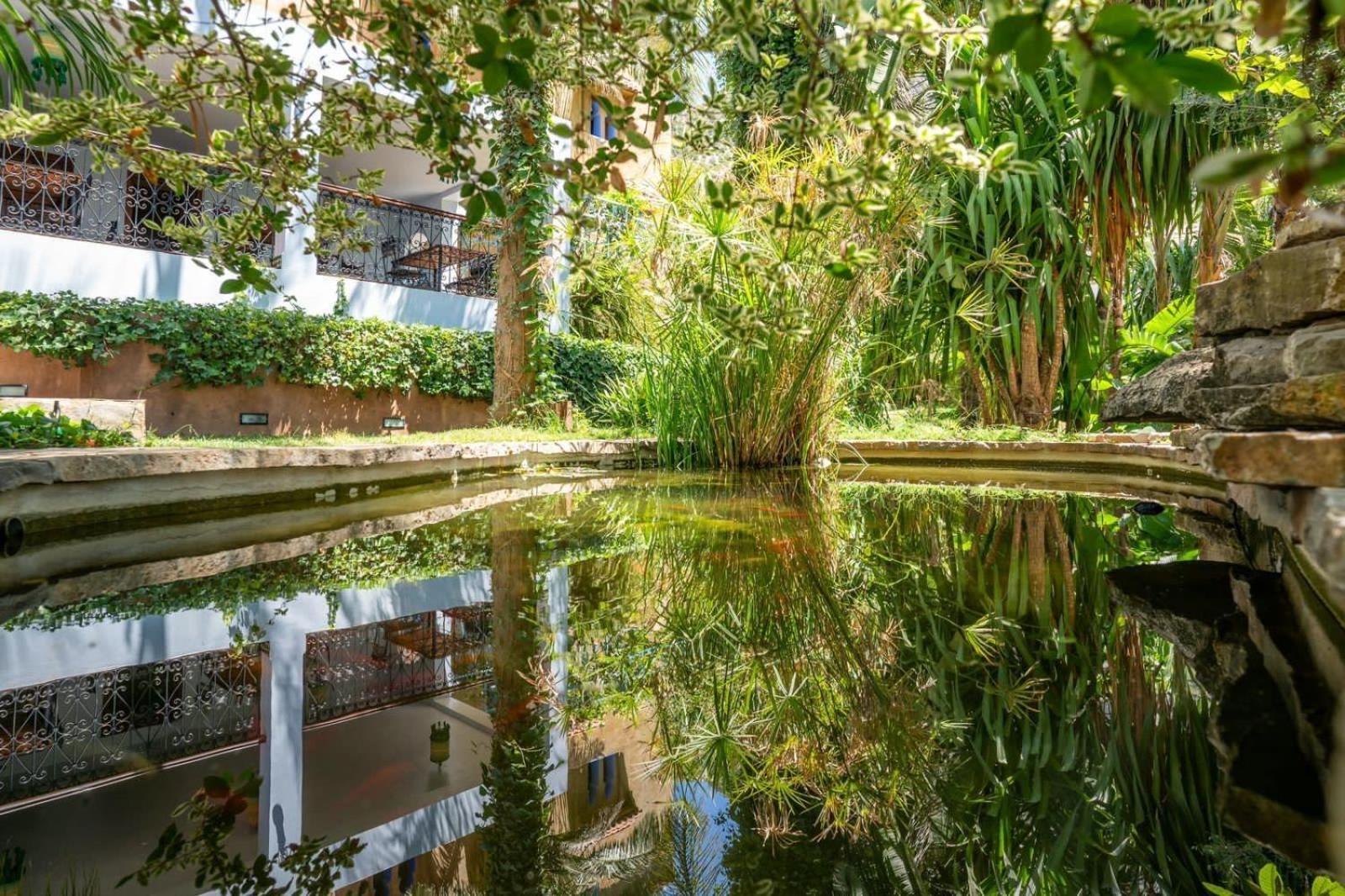 Hotel Molino Garden شفشاون المظهر الخارجي الصورة